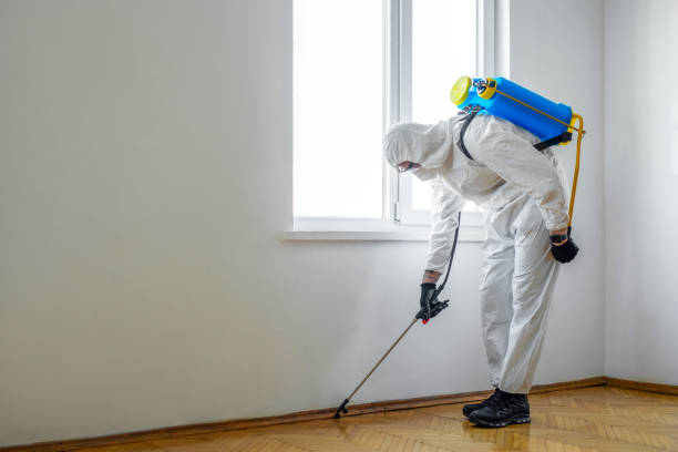 Best Real Estate Pest Inspections  in USA